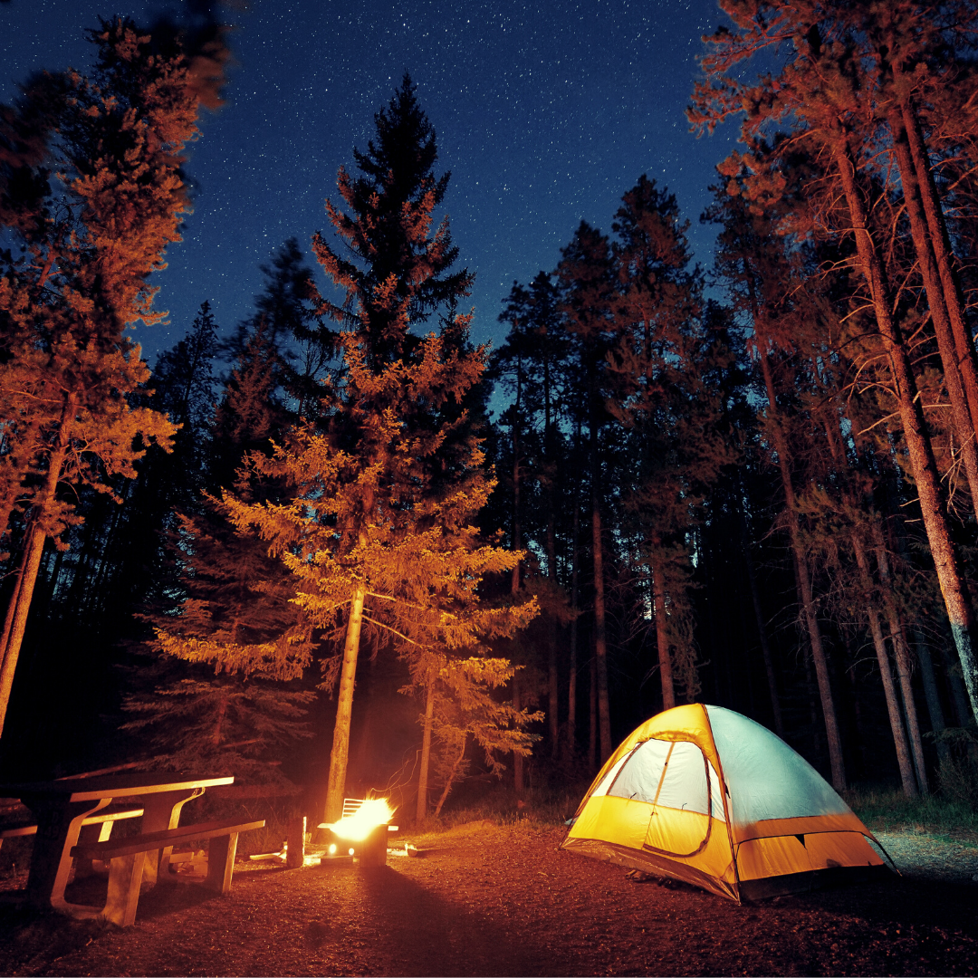 LLP - Camping