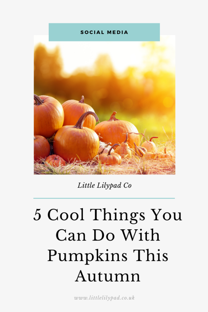 PIN - 5 Cool Things You Can Do With Pumpkins This Autumn