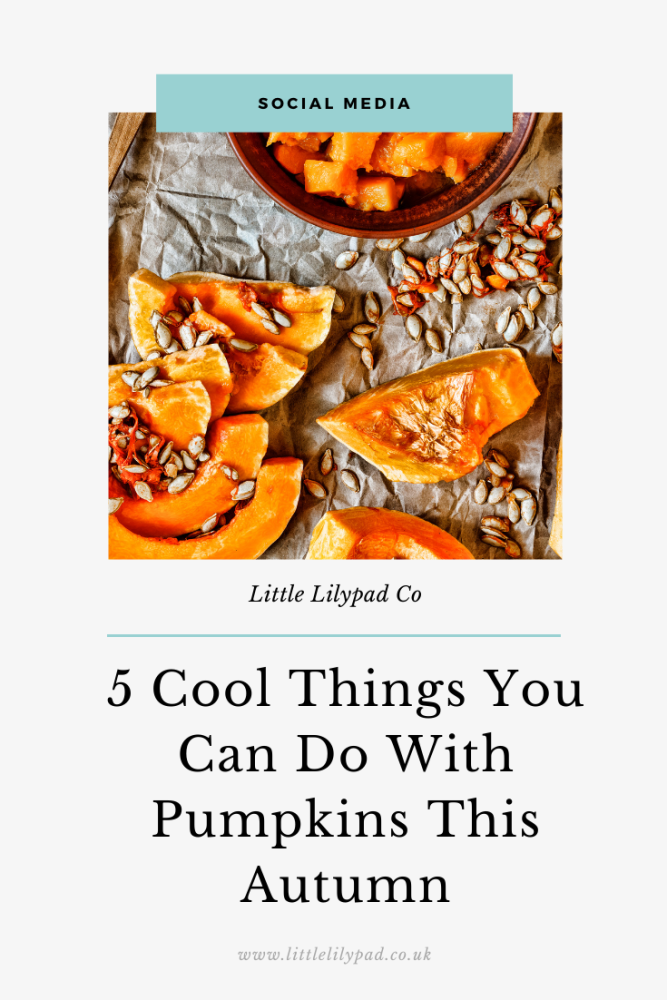 PIN - 5 Cool Things You Can Do With Pumpkins This Autumn (1)