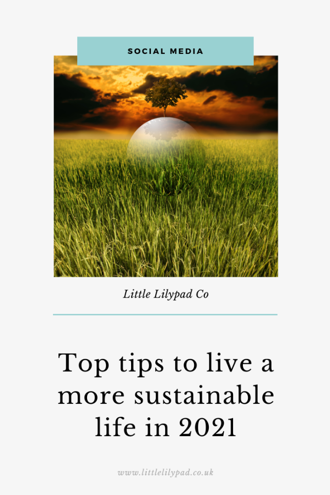 PIN - Top tips for being more sustainable in 2021