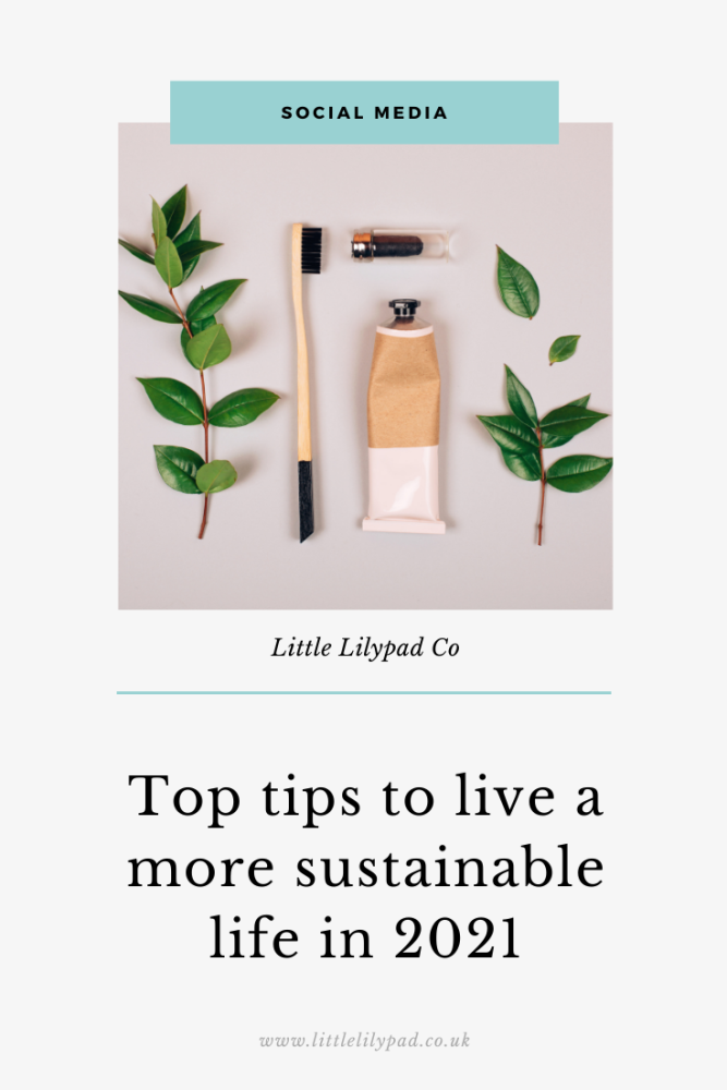 PIN - Top tips for being more sustainable in 2021 (1)