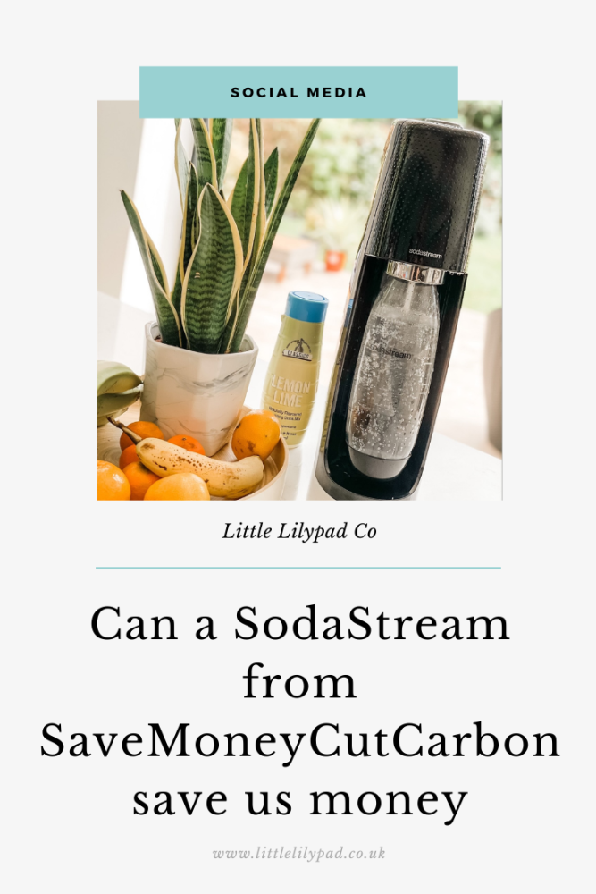 PIN - Can a SodaStream Save Us Money