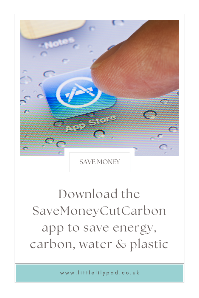 SaveMoneyCutCarbon Sustainable Living App
