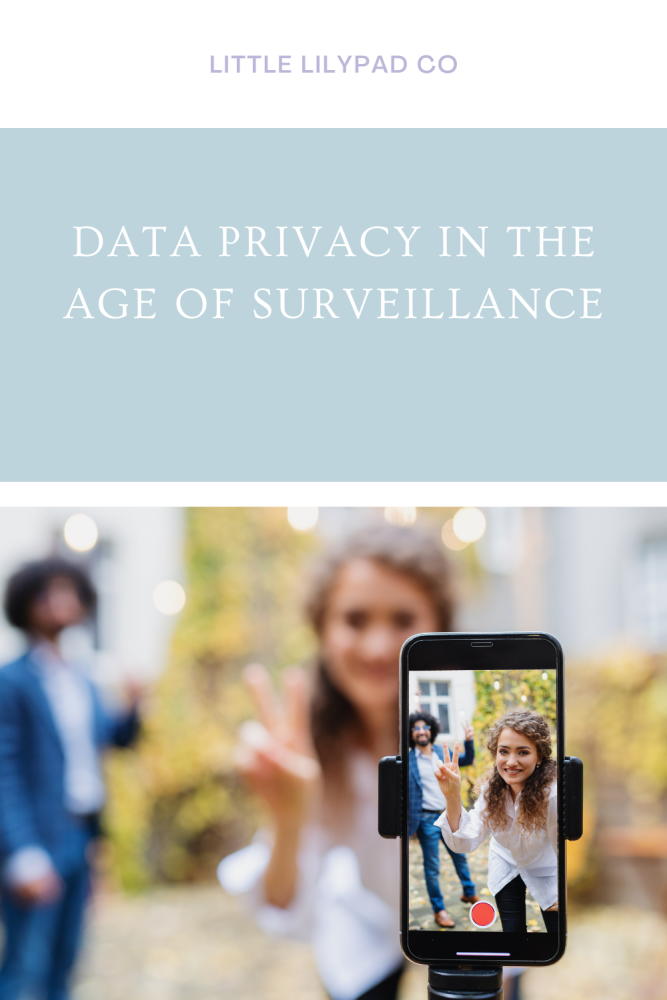 LLP - Pin - Data Privacy in the Age of Surveillance