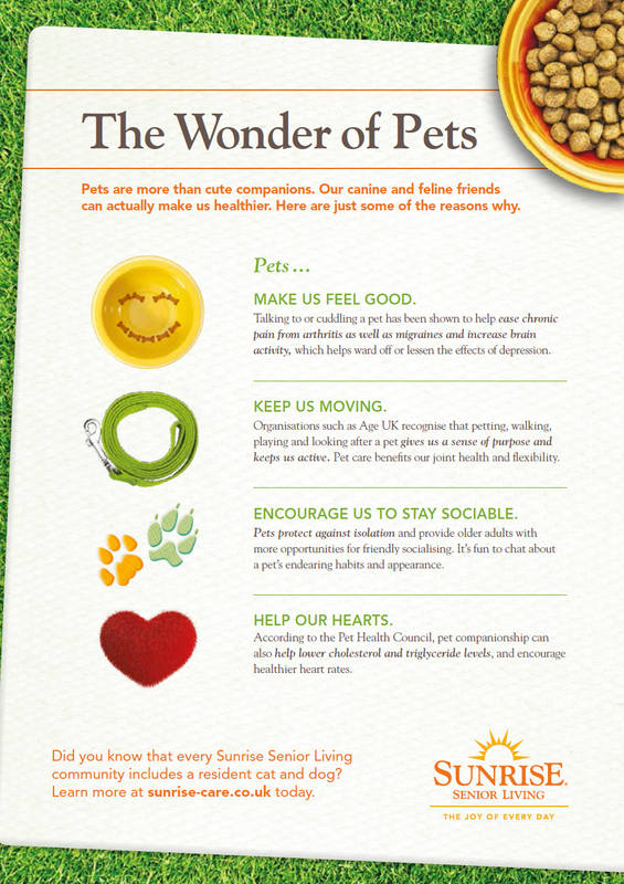 Pet infographic