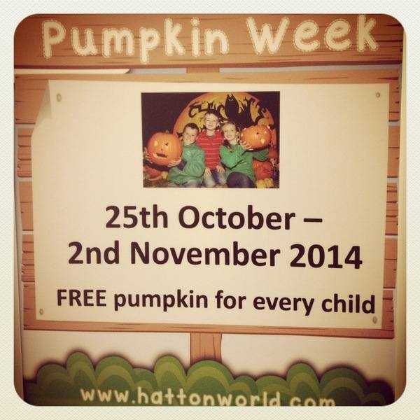 Pumpkin Week 7