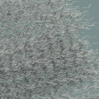 Stainless Steel Wire â€â€Åâ€Å“ www.wire-brush.co.uk â€â€Åâ€Å“ Anvil Tooling Limited