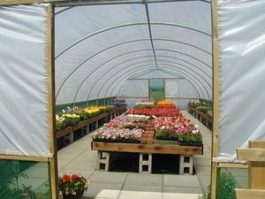 Poly tunnel 1