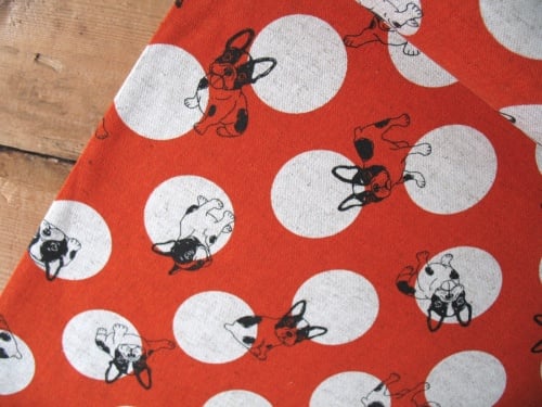 Japanese - French bulldogs playing on spots in red