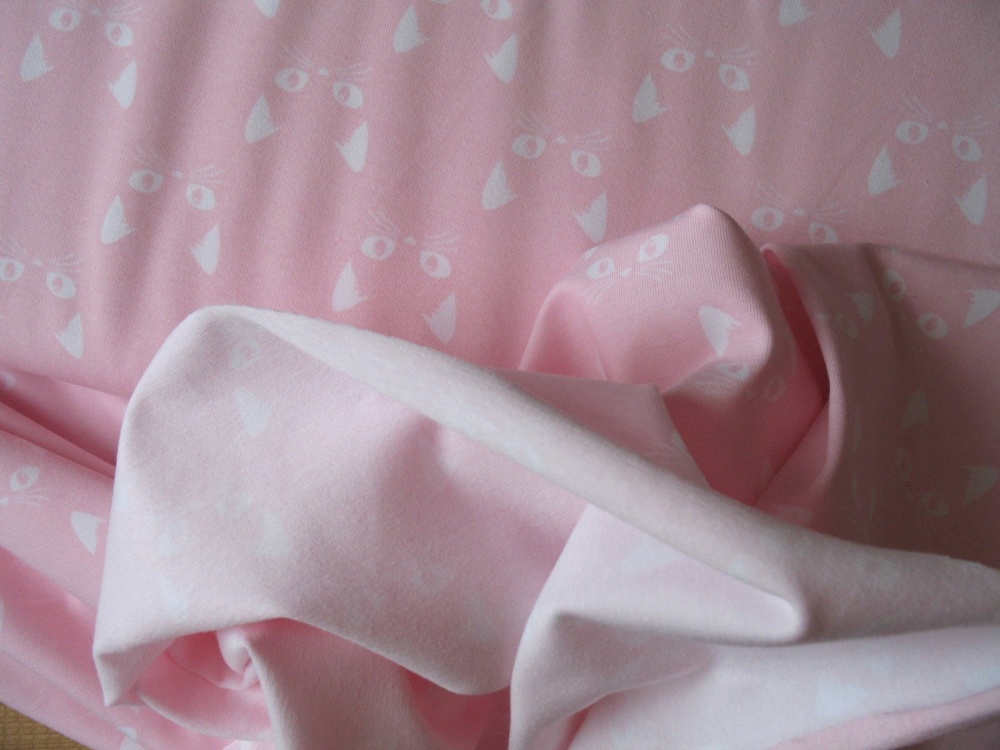 Dutch JERSEY cats on pink