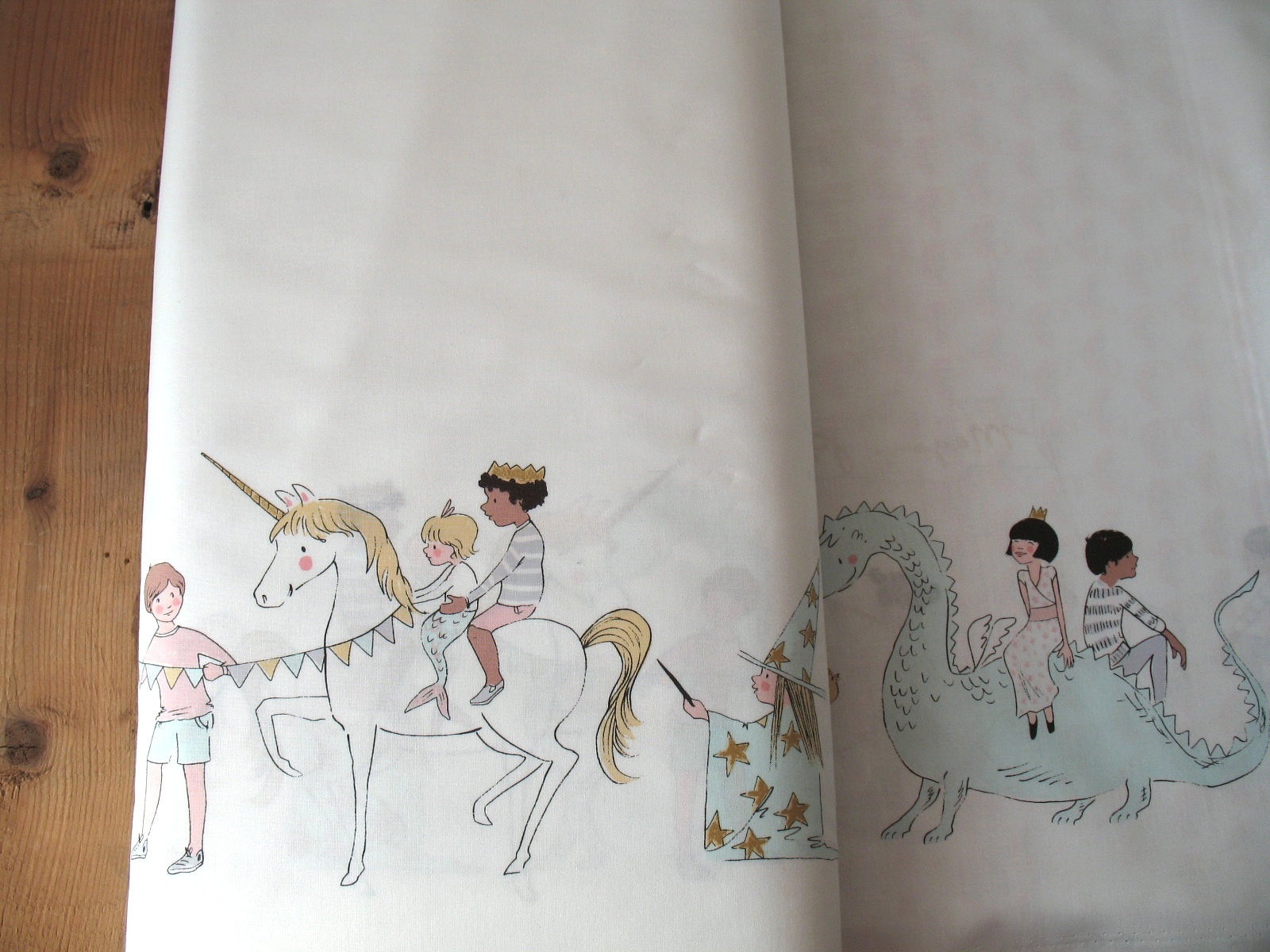 Sarah Jane Designs MAGIC magical  parade - double border print