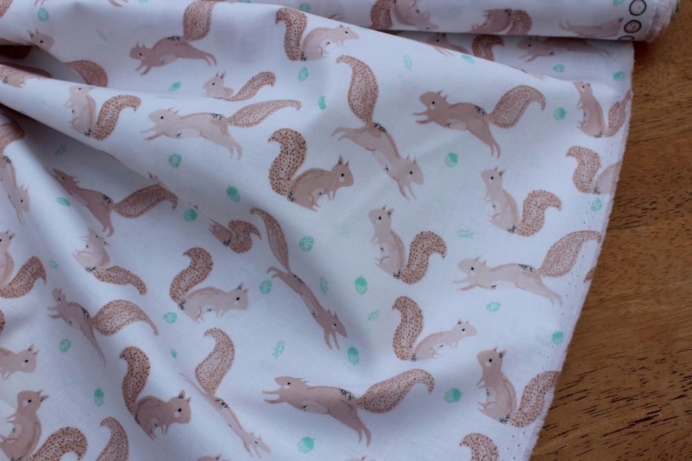 Dear Stella Pine Grove Squirrels on white 