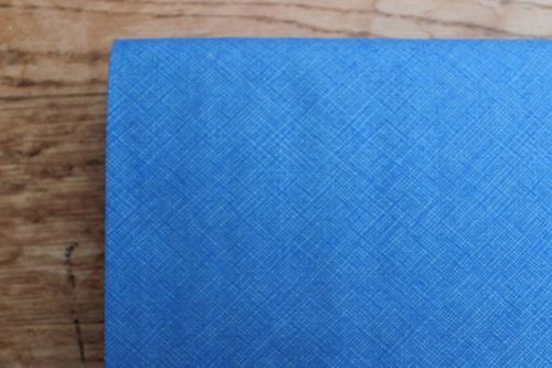 Carolyn Friedlander cross hatch weave in blue