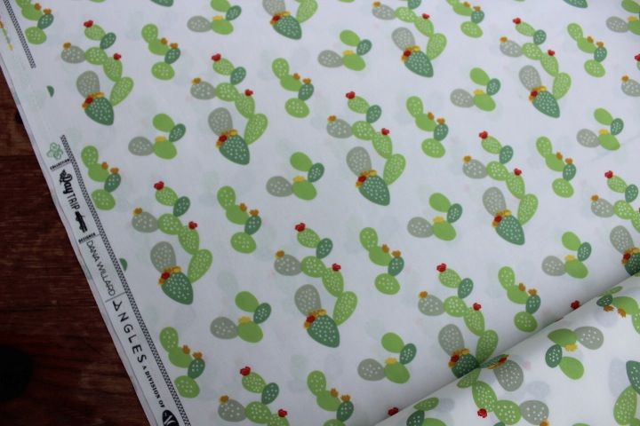 Dana Willard -day trip- prickly cactus