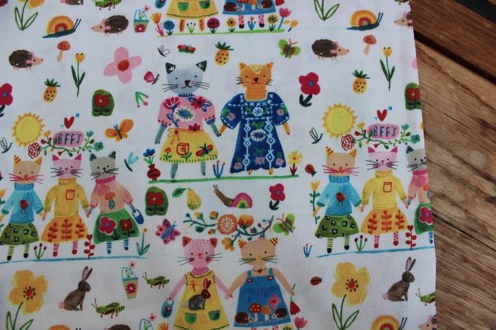 Carolyn Gavin BFF's ORGANIC Friendly cats holding hands