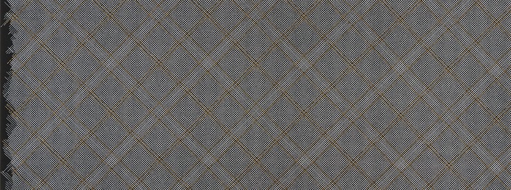 Carolyn Friedlander -CF Collection Tartan border in black Metallic