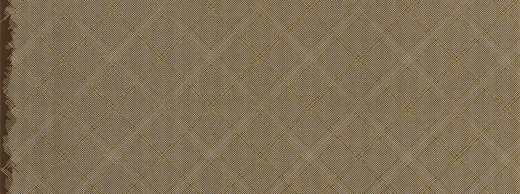 Carolyn Friedlander -CF Collection Tartan border in Brown Metallic