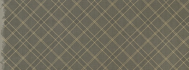 Carolyn Friedlander -CF Collection Tartan border in Pewter  Metallic
