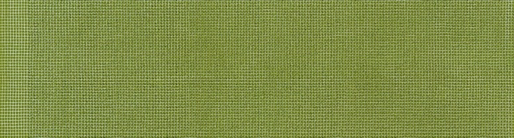 Carolyn Friedlander -JETTY- Metallic Grid Silver border in Ivy