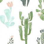 Dear Stella / Rae Ritchie Desert Bloom cacti in white