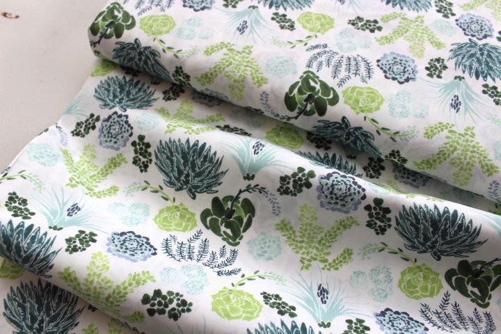 Dear Stella / Rae Ritchie Desert Bloom succulents in green