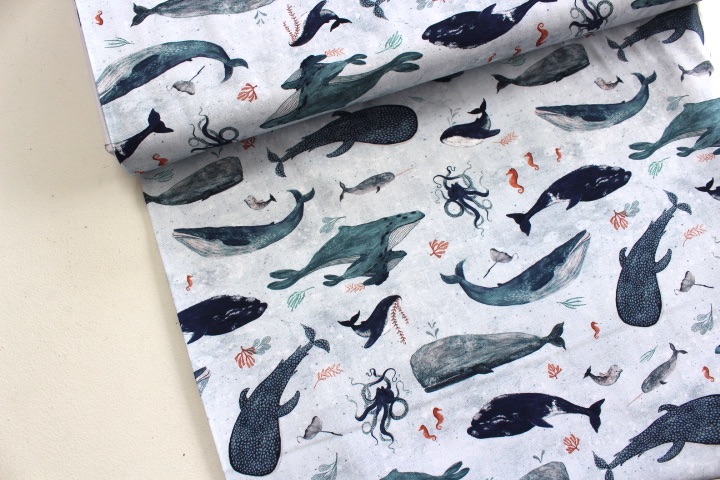 Katherine Quinn Whales tales story on cool grey