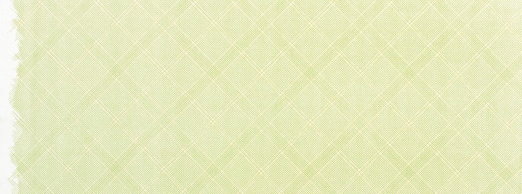 Carolyn Friedlander -CF Collection Tartan border in Green Metallic