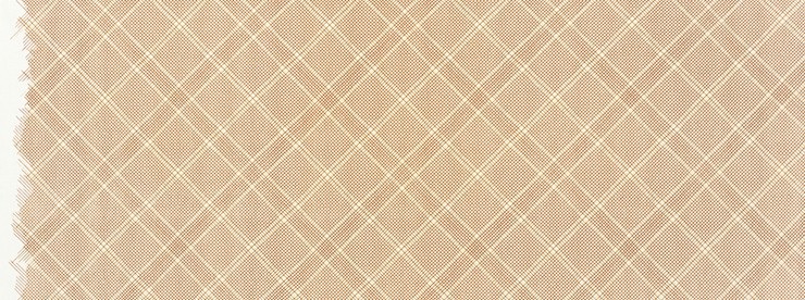 Carolyn Friedlander -CF Collection Tartan border in Pecan Metallic