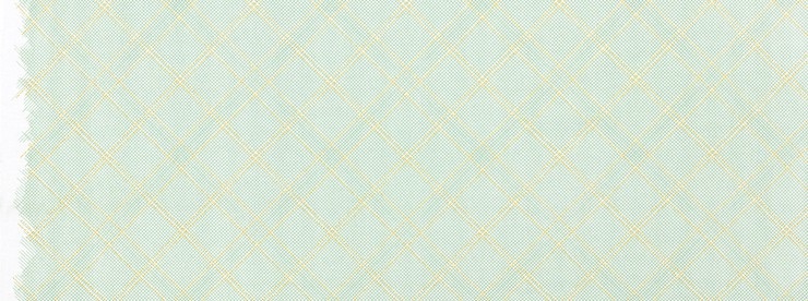 Carolyn Friedlander -CF Collection Tartan border in Seafoam Metallic