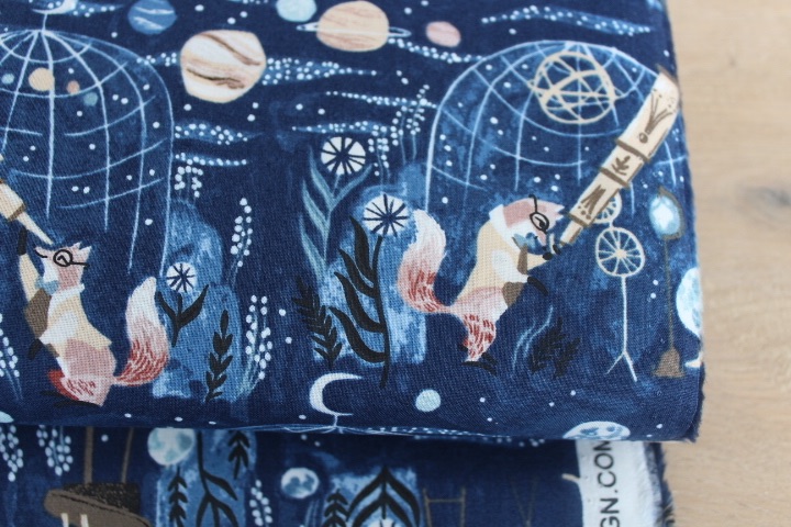 Dear Stella - Rae Ritchie -starstuff with foxes ... yes foxes ...
