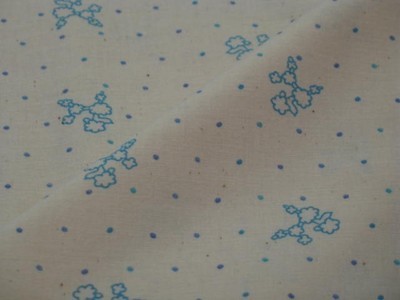 Japanese Kinkame - toy poodle in blue + spot