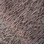 Dear Stella hoodwinked tree bark in brown