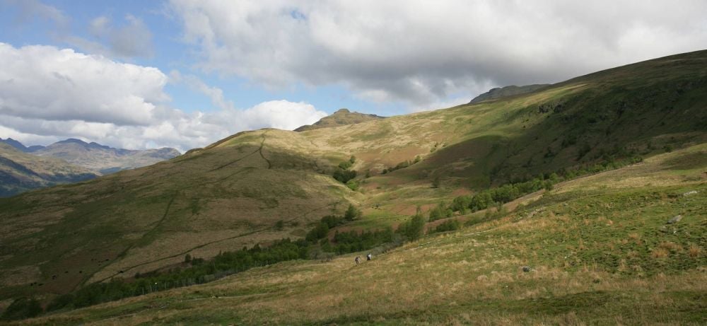 Ben Lomond.... just absolutely stunning with spectactular views from the summit