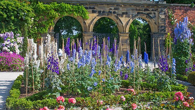 The Alnwick Garden Family Annual Membership for Two 