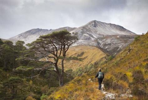 Give a membership to the John Muir Trust today