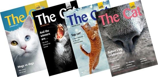 Members receive the excellent magazine The Cat, four times a year