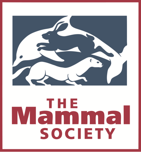 Give the Mammal Society your support and help mammals