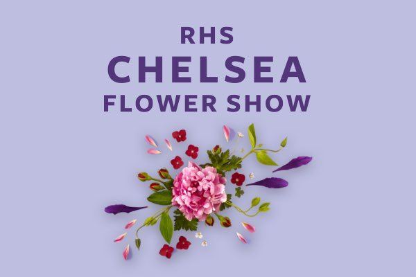 Find out what's on at the RHS Chelsea Flower Show in September 2021