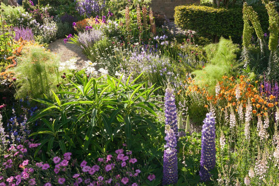 Visit the RHS to find out more about RHS Chelsea Flower Show