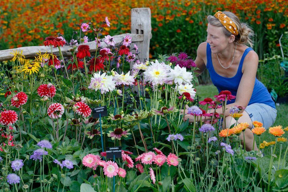 There are all sorts of beautiful displays to enjoy