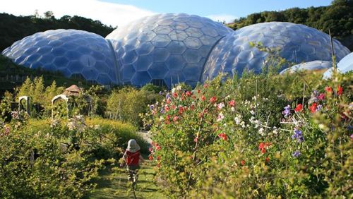 How about a One Year Membership to the Eden Project for One Person and a Guest?