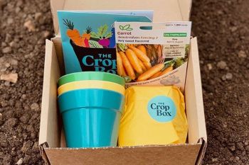 There's a 6 Month Seasonal Crop Box Subscription for an Adult or Child