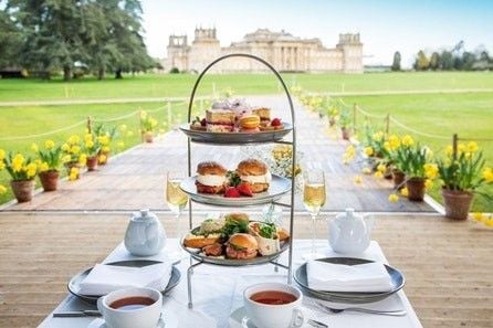How about giving a loved one a Blenheim Palace Visit and Afternoon Tea with Glass of Fizz for Two?