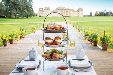 How about giving a loved one a Blenheim Palace Visit and Afternoon Tea with Glass of Fizz for Two?