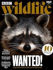 Pocketmags have a number of digital wildlife magazine subscriptions including BBC Wildlife