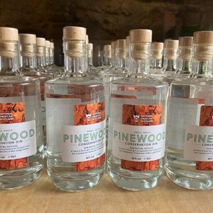 The Pinewood Conservation Gin 50cl is made with botanicals foraged from the wild heart of the Cairngorms.