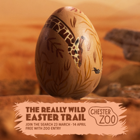 Discover Giant Animal Eggs on Chester Zoo's Egg-citing Easter Trail