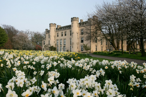 There's lots to enjoy and explore this spring with the National Trust for Scotland