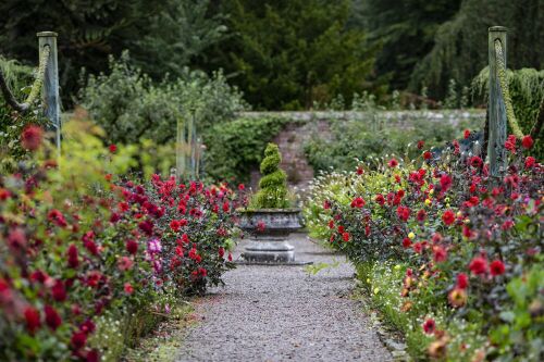Visit the Threave Garden & Nature Reserve in Dumfries and Galloway