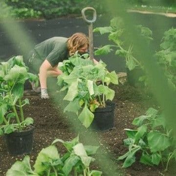 There are Gardening and Floristry experiences